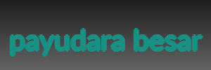 payudara besar